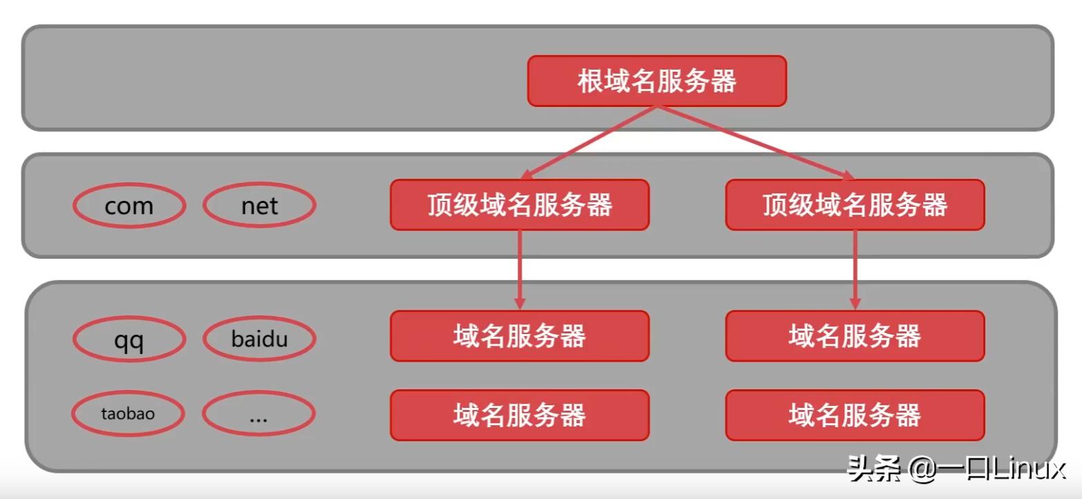 最新域名解析技术，探索前沿应用趋势