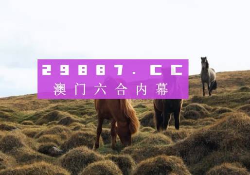 新澳门开奖结果——揭示开奖魅力的瞬间