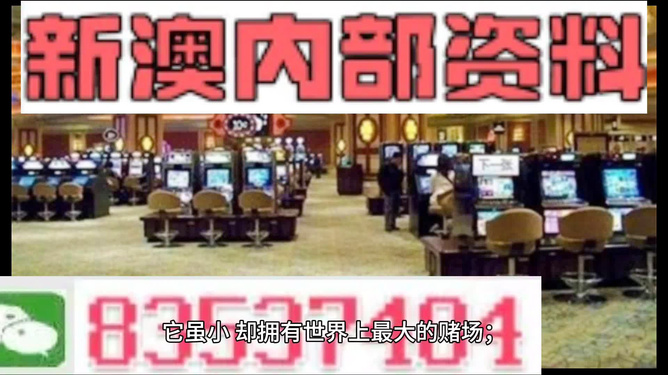 新澳2024最新资料深度解析