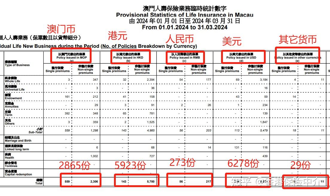 澳门全年资料概览，展望2024年