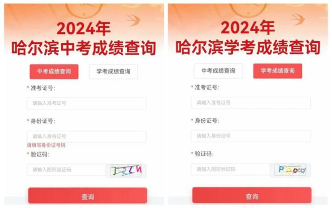 掌握最新信息，2024新澳开奖结果查询指南