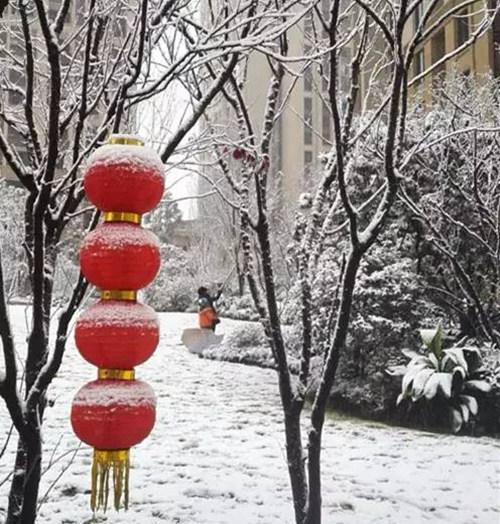 重庆最新雪景，雪落巴山，美不胜收