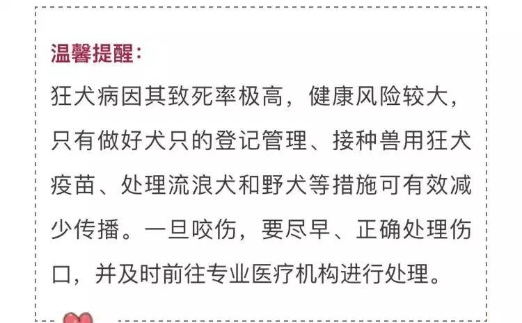 最新狂犬规范，守护人类健康的必要措施