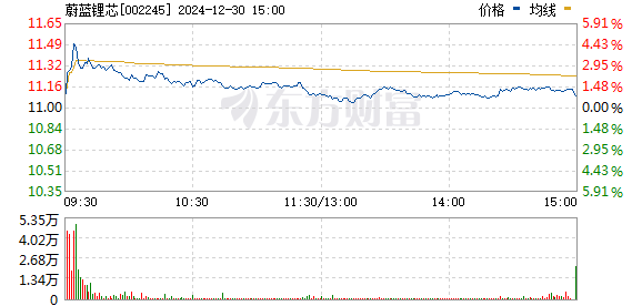 深度解析，002245澳洋顺昌的最新动态与前景展望