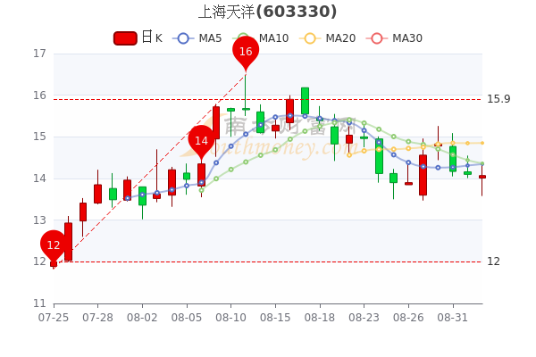 上海天洋股票最新消息全面解析