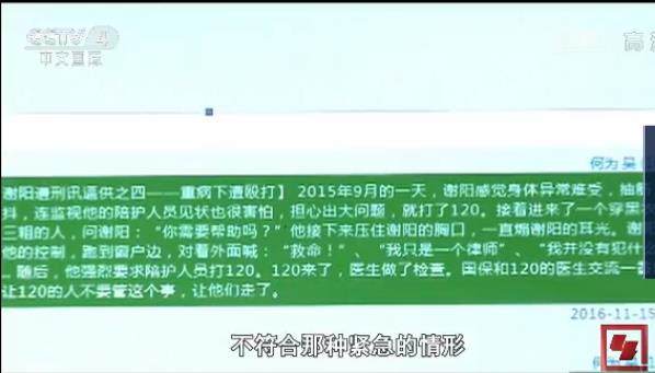 长沙知名律师谢阳最新消息，法律领域的杰出贡献与社会责任担当