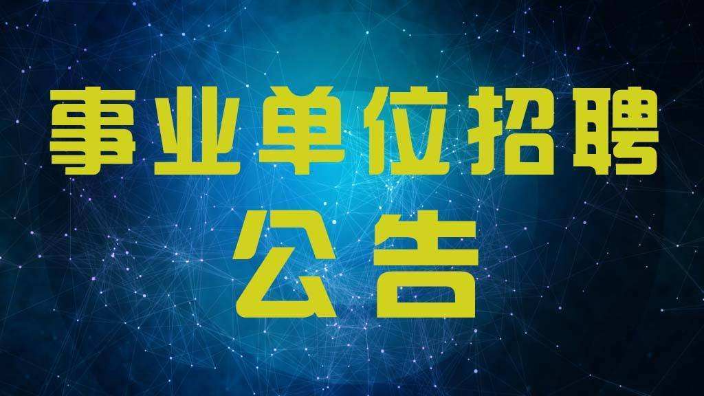 一建招聘网最新招聘动态深度解析