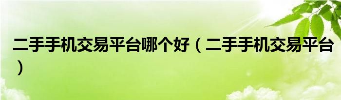 最新二手手机交易软件，重塑二手市场的未来