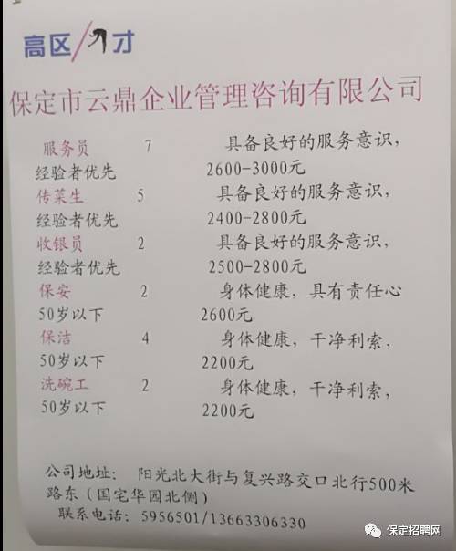 保定人才网最新招聘动态深度解析