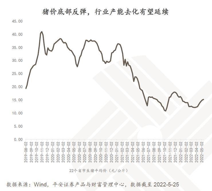 精准策略，探索六月最新消息的独特视角