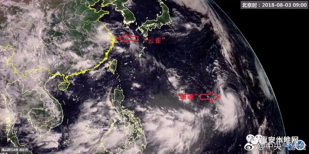 云雀台风最新消息，动态分析、影响及应对措施