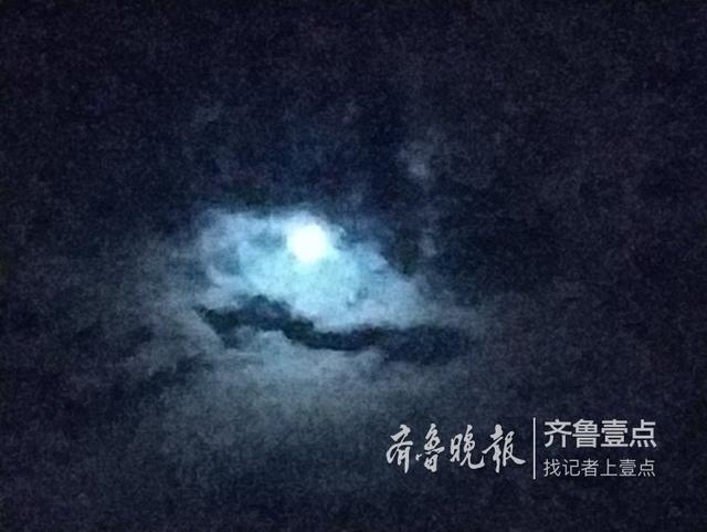 最新午夜好看午夜，探索深夜的魅力与奇幻